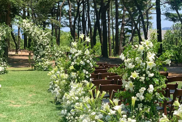 白绿色自然野生感婚礼策划